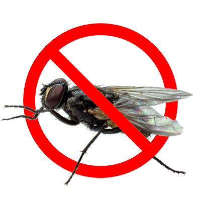 дезинсекция обработка